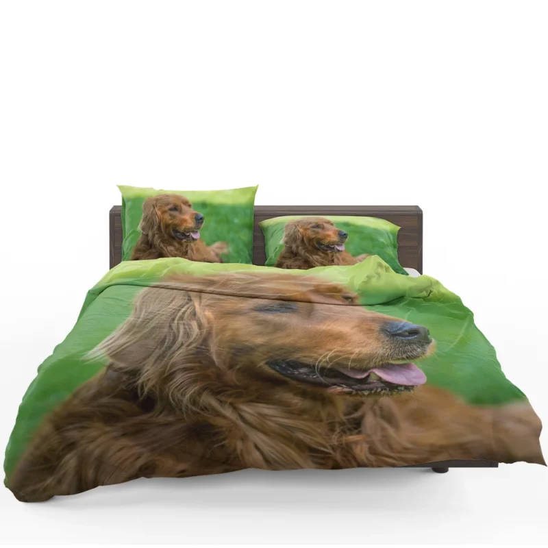 Canine Elegance: Irish Setter Muzzles in Depth Bedding Set