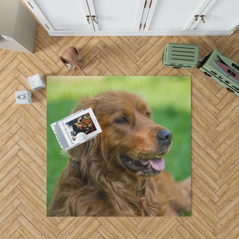 Canine Elegance: Irish Setter Muzzles in Depth Floor Rug