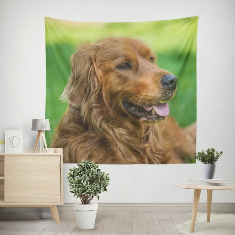 Canine Elegance  Irish Setter Muzzles in Depth Wall Tapestry