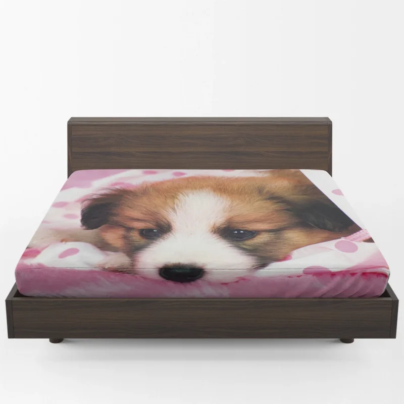 Canine Elegance: Papillon Quartet Fitted Sheet 1