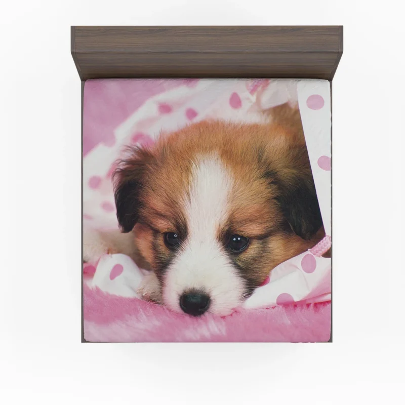 Canine Elegance: Papillon Quartet Fitted Sheet