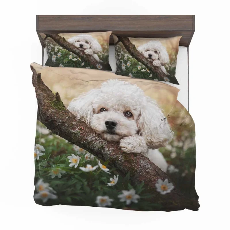 Canine Elegance: Poodle Quartet Bedding Set 1