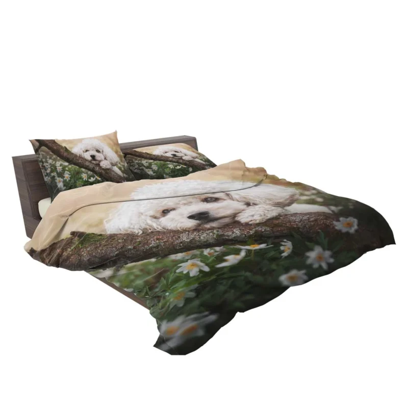 Canine Elegance: Poodle Quartet Bedding Set 2