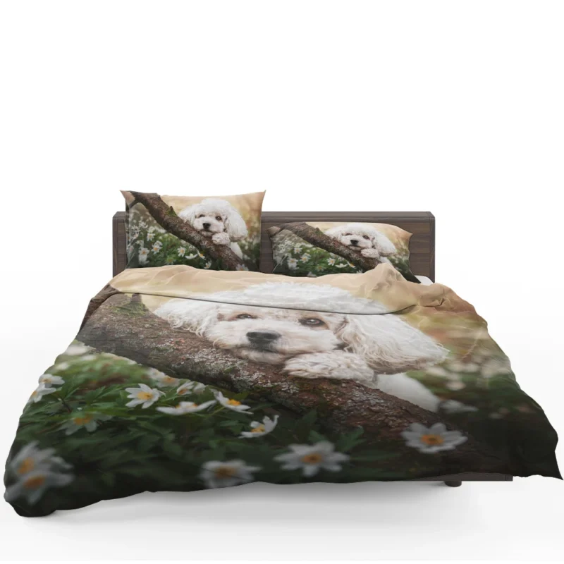 Canine Elegance: Poodle Quartet Bedding Set