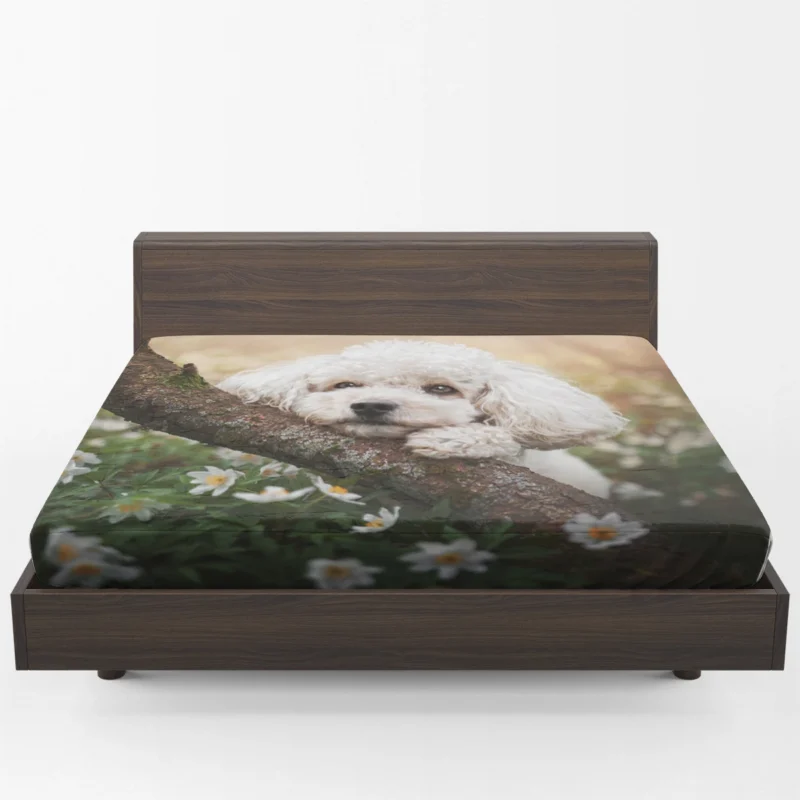 Canine Elegance: Poodle Quartet Fitted Sheet 1