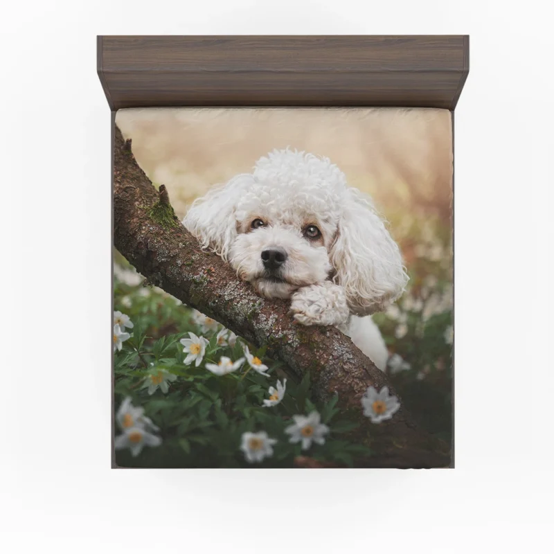 Canine Elegance: Poodle Quartet Fitted Sheet