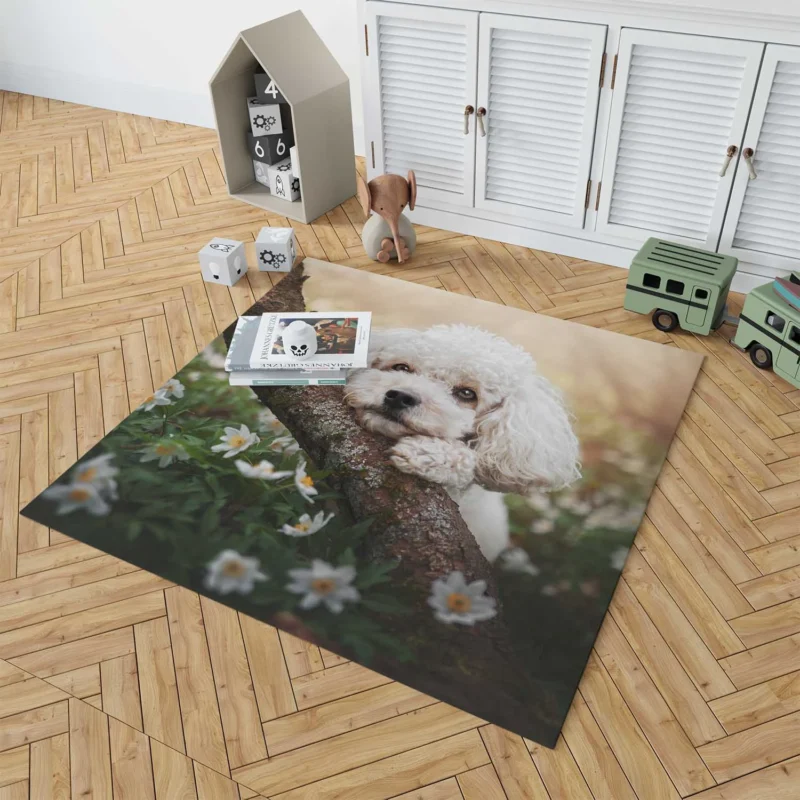 Canine Elegance: Poodle Quartet Floor Rug 1