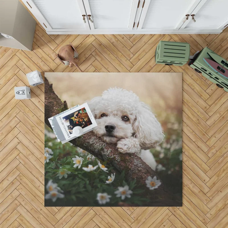 Canine Elegance: Poodle Quartet Floor Rug