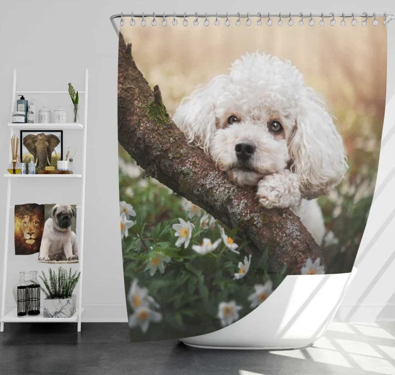 Canine Elegance: Poodle Quartet Shower Curtain