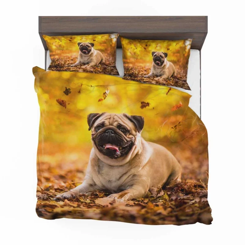 Canine Elegance: Pug Quartet Bedding Set 1