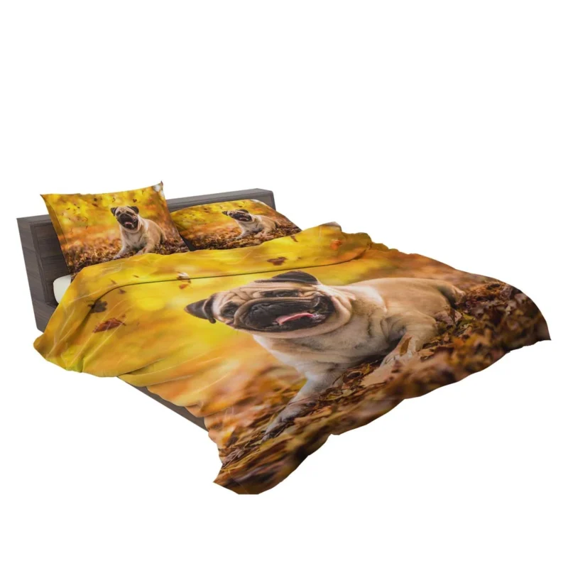 Canine Elegance: Pug Quartet Bedding Set 2