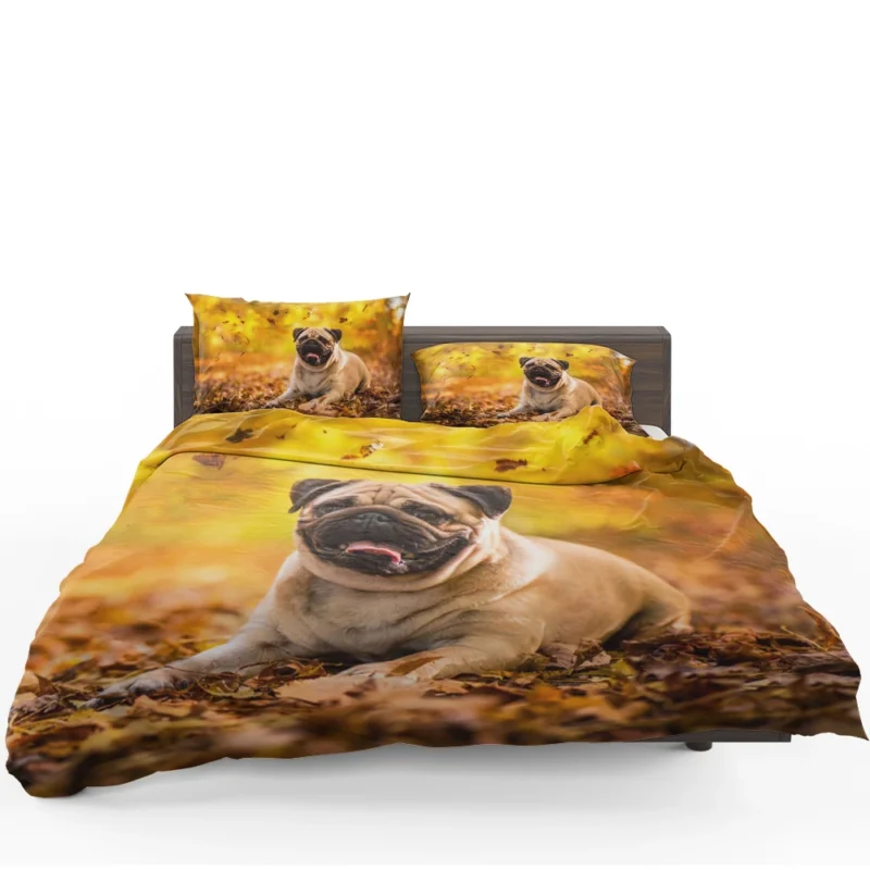 Canine Elegance: Pug Quartet Bedding Set