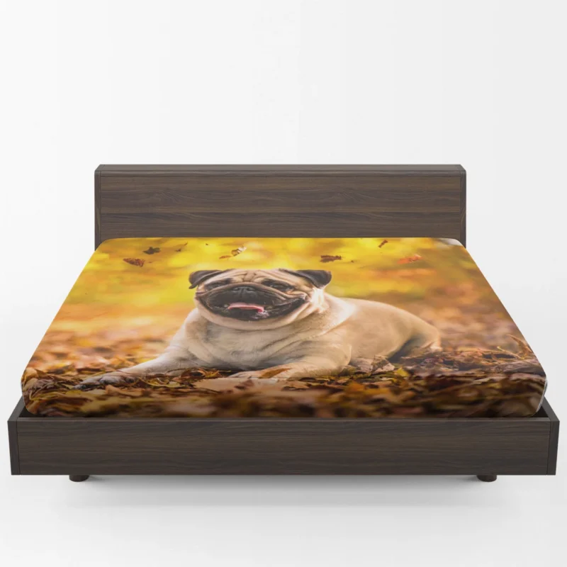 Canine Elegance: Pug Quartet Fitted Sheet 1