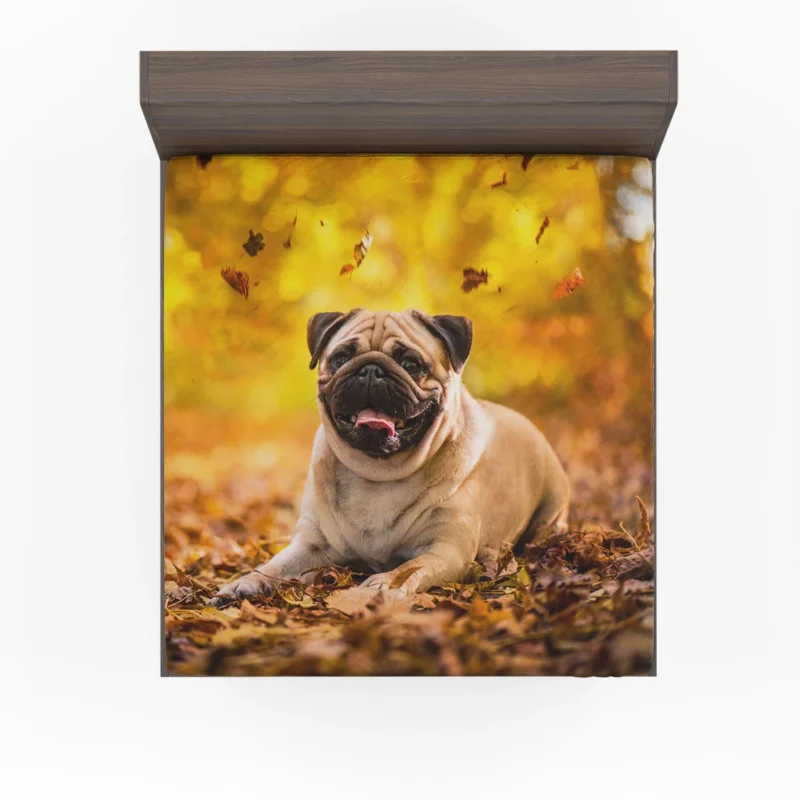 Canine Elegance: Pug Quartet Fitted Sheet