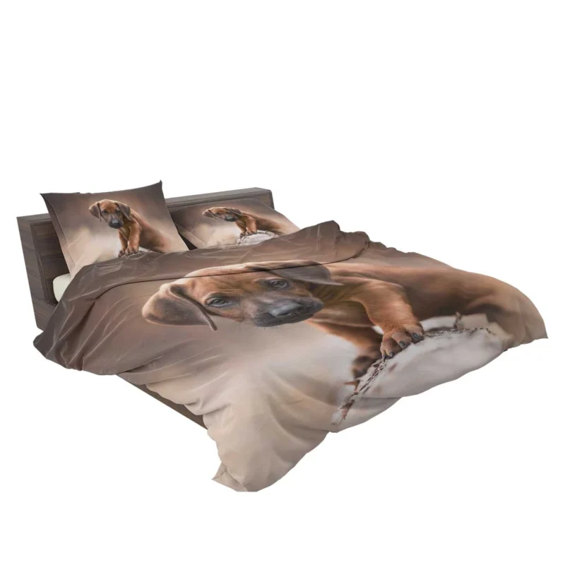 Canine Elegance: Rhodesian Ridgeback Quartet Bedding Set 2