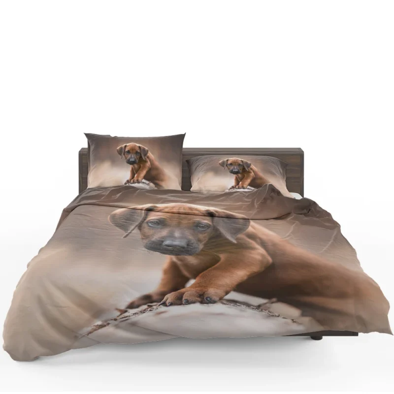 Canine Elegance: Rhodesian Ridgeback Quartet Bedding Set