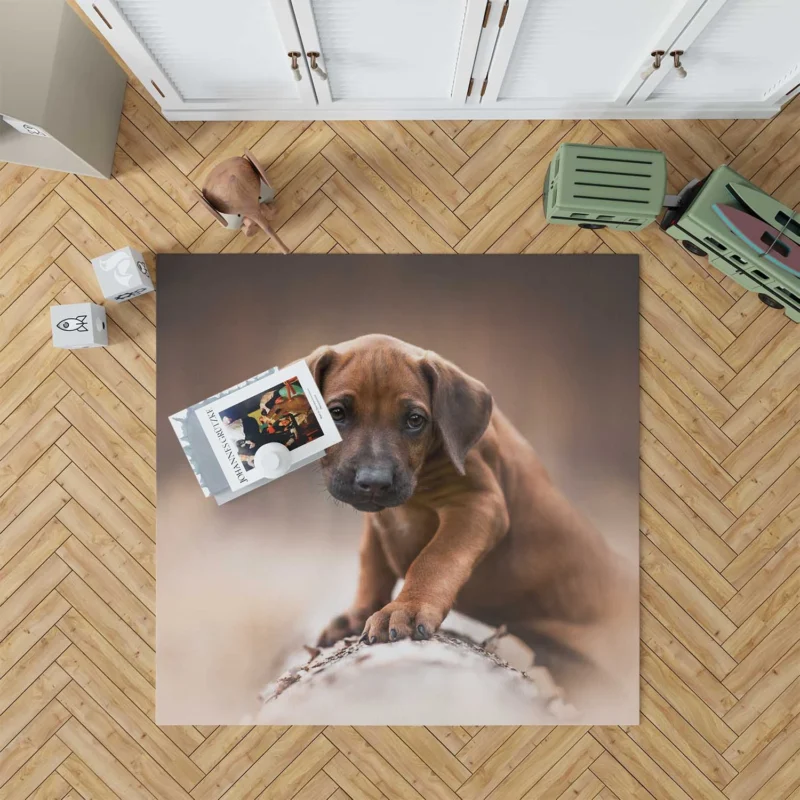 Canine Elegance: Rhodesian Ridgeback Quartet Floor Rug