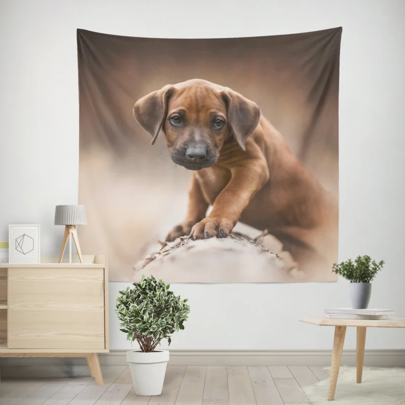 Canine Elegance  Rhodesian Ridgeback Quartet Wall Tapestry