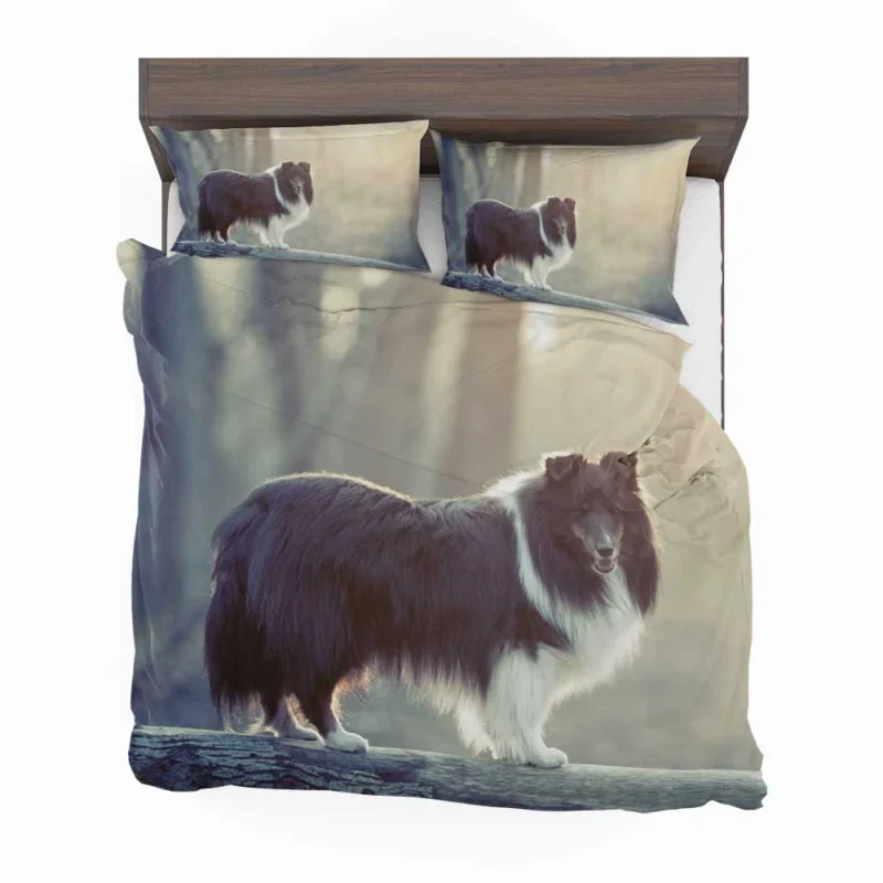 Canine Elegance: Rough Collie Quartet Bedding Set 1