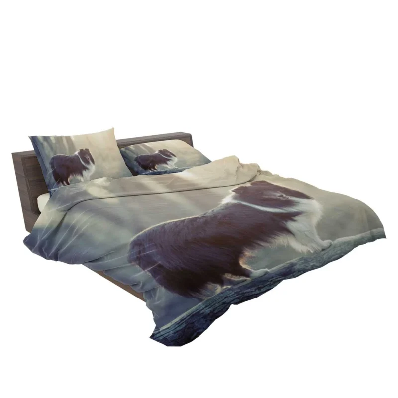 Canine Elegance: Rough Collie Quartet Bedding Set 2