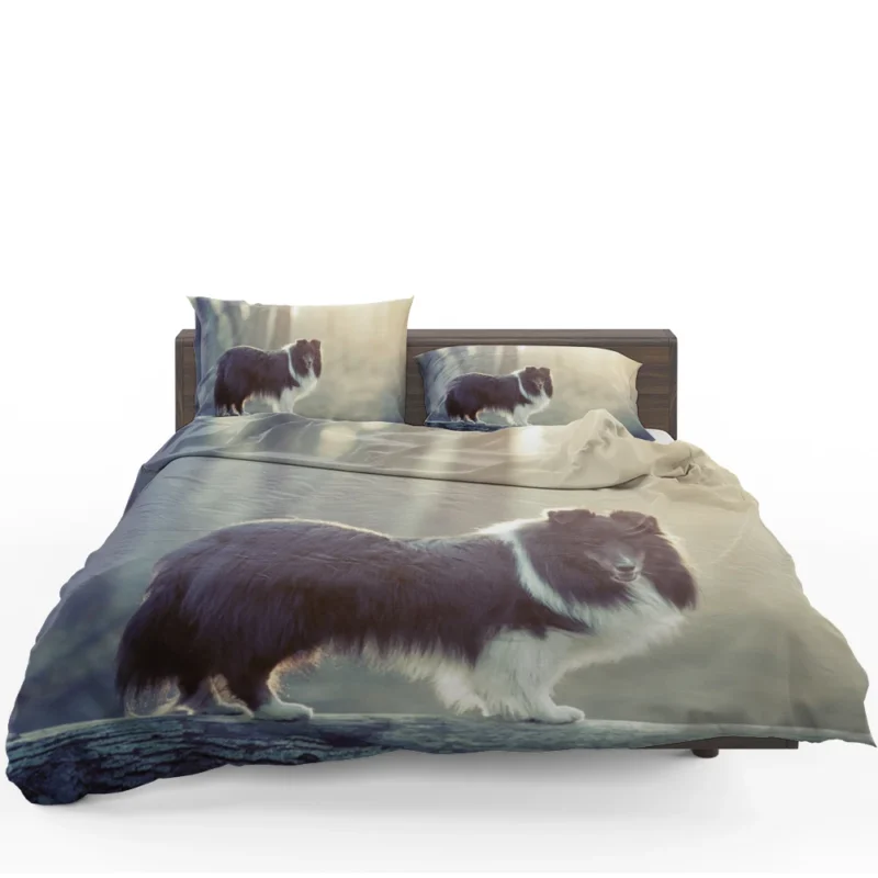 Canine Elegance: Rough Collie Quartet Bedding Set