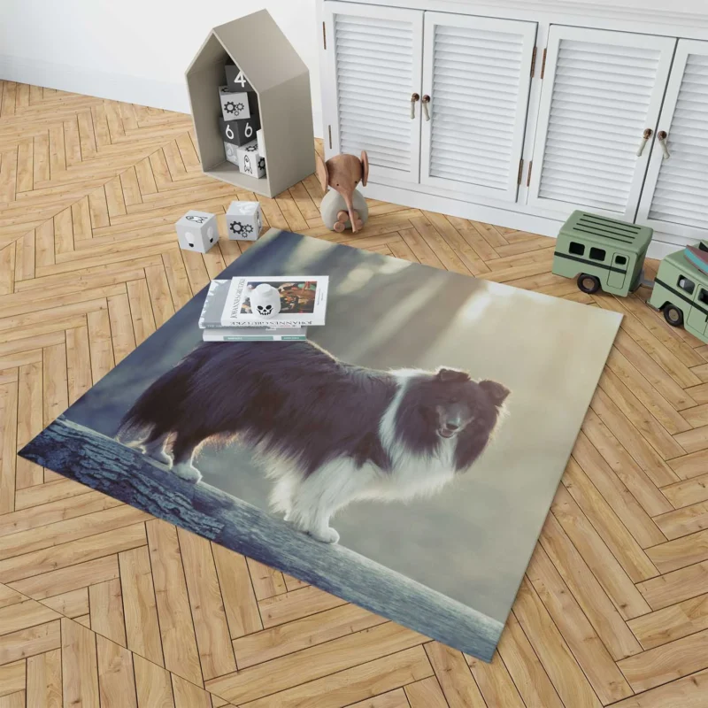 Canine Elegance: Rough Collie Quartet Floor Rug 1