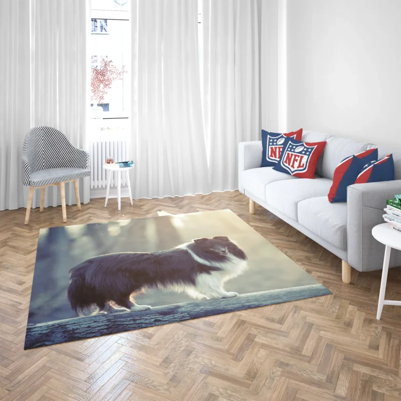 Canine Elegance: Rough Collie Quartet Floor Rug 2