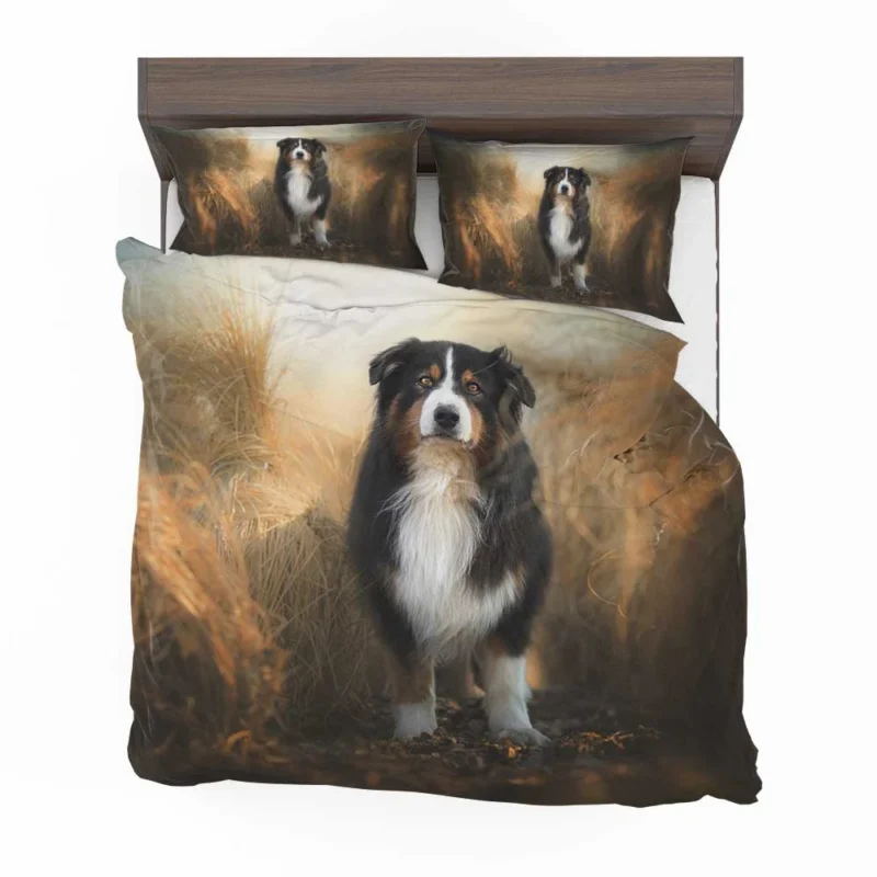 Canine Elegance and Intelligence: Australian Shepherd Bedding Set 1