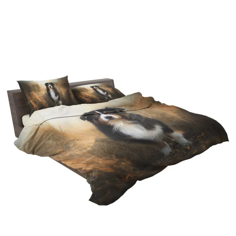 Canine Elegance and Intelligence: Australian Shepherd Bedding Set 2