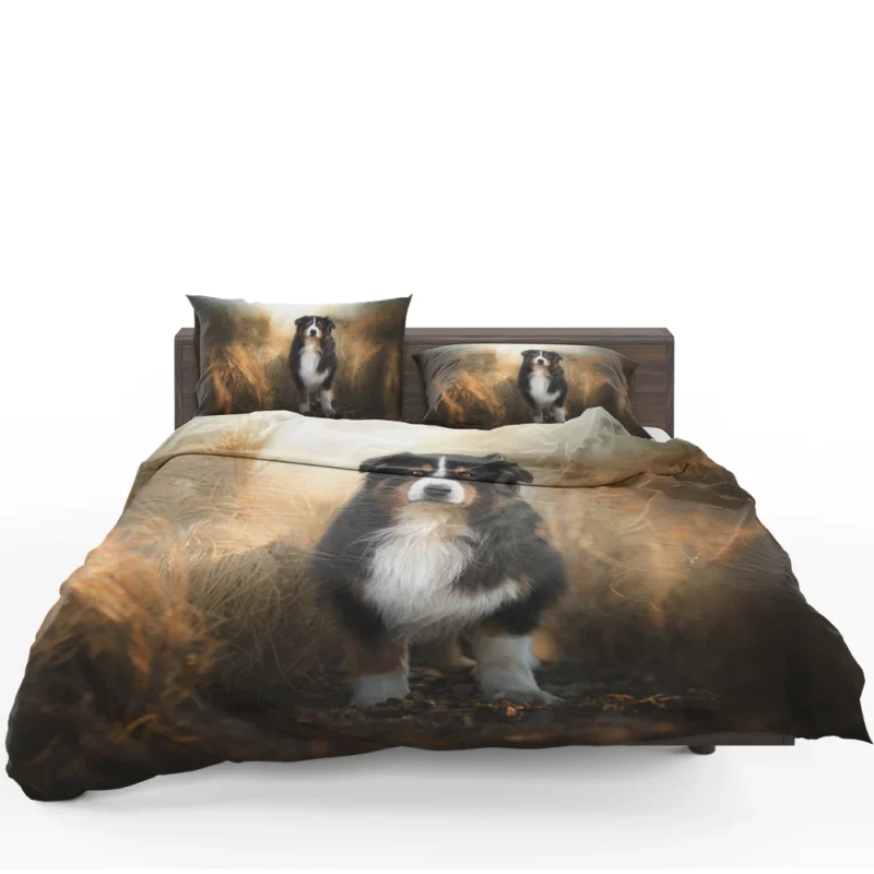 Canine Elegance and Intelligence: Australian Shepherd Bedding Set