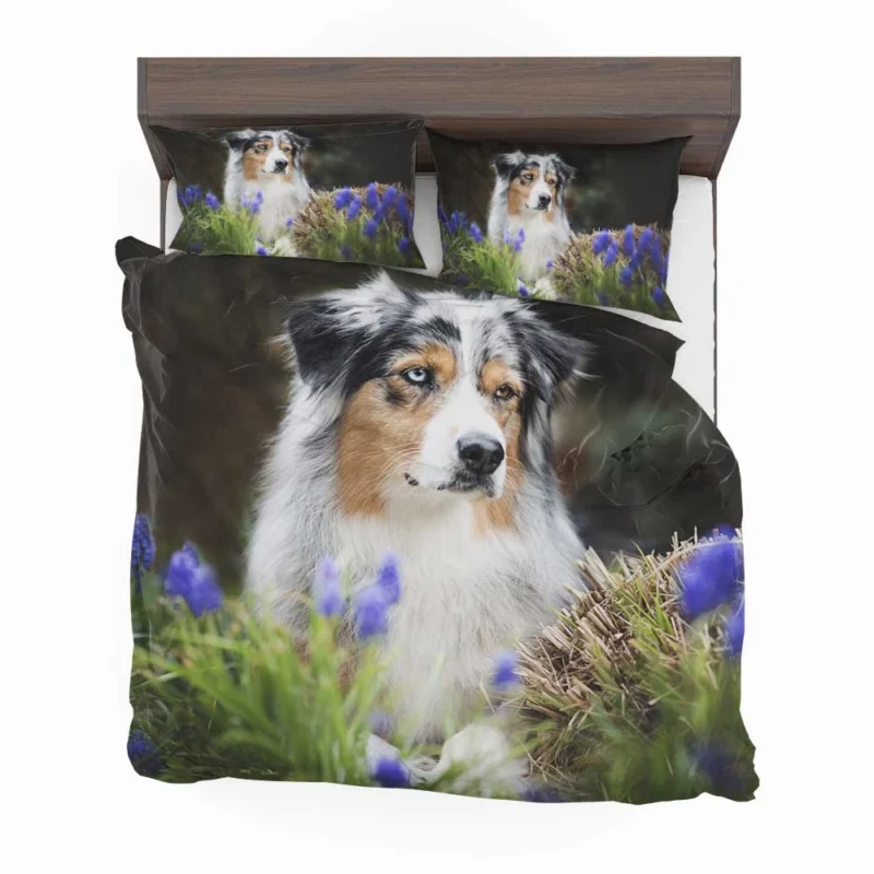 Canine Grace and Intelligence: Australian Shepherd Bedding Set 1