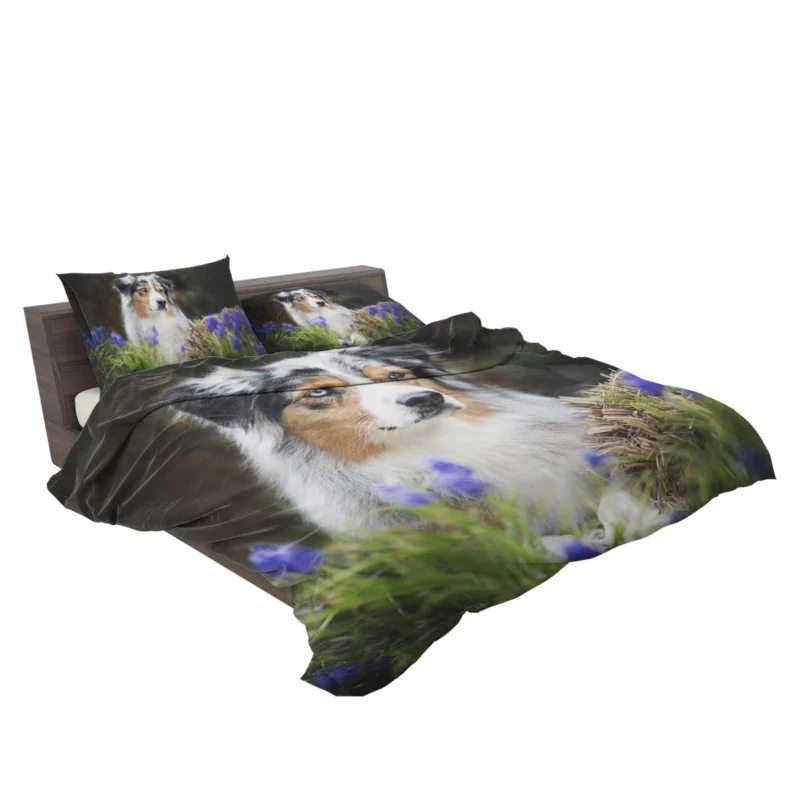 Canine Grace and Intelligence: Australian Shepherd Bedding Set 2