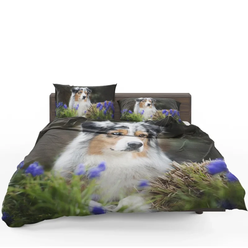 Canine Grace and Intelligence: Australian Shepherd Bedding Set