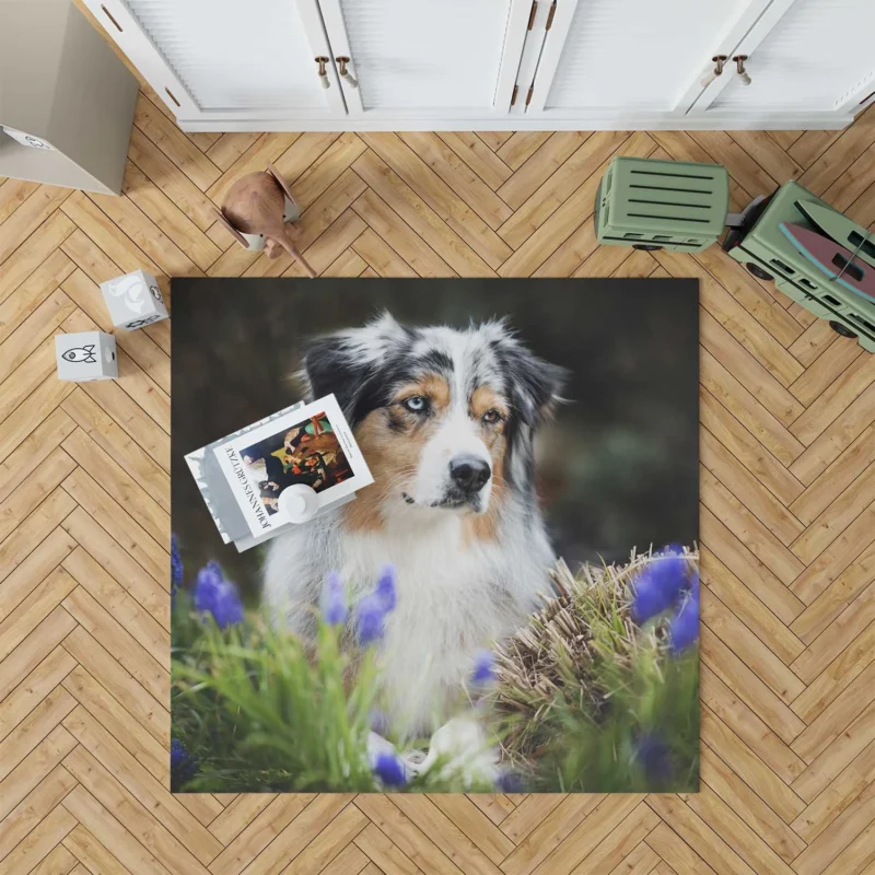 Canine Grace and Intelligence: Australian Shepherd Floor Rug