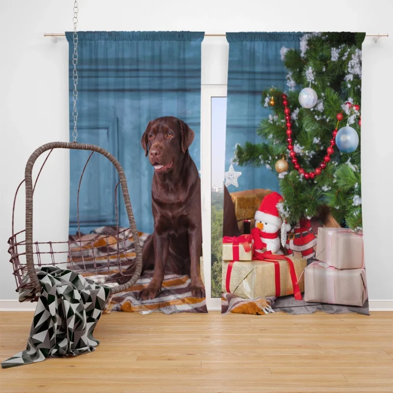 Canine Joy Unleashed: Labrador Gift Quartet Window Curtain