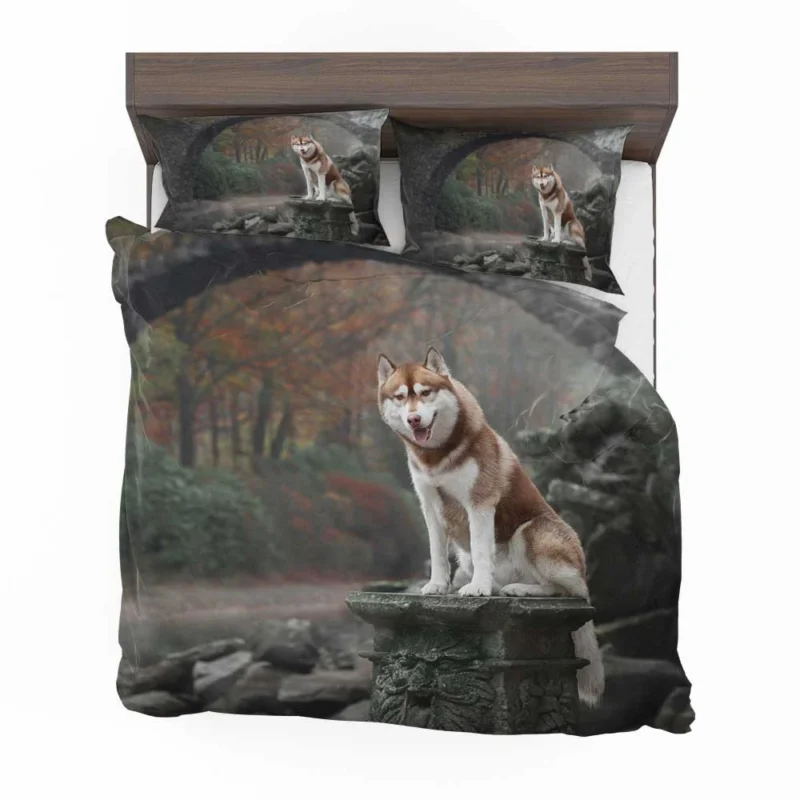 Canine Majesty: Husky Depth of Field with Arch Bedding Set 1