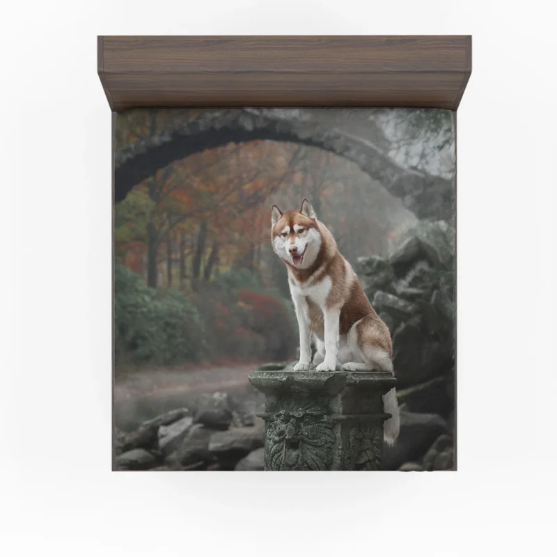 Canine Majesty: Husky Depth of Field with Arch Fitted Sheet