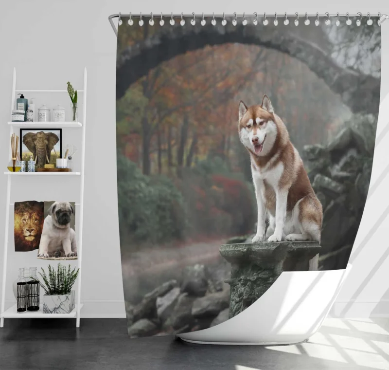 Canine Majesty: Husky Depth of Field with Arch Shower Curtain