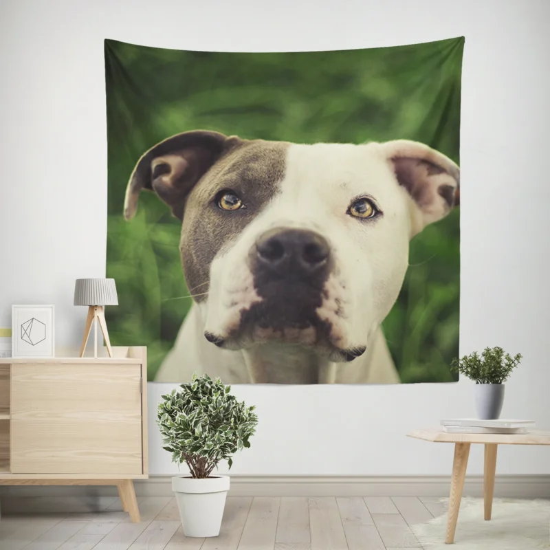 Canine Majesty  Pit Bull Quartet Wall Tapestry