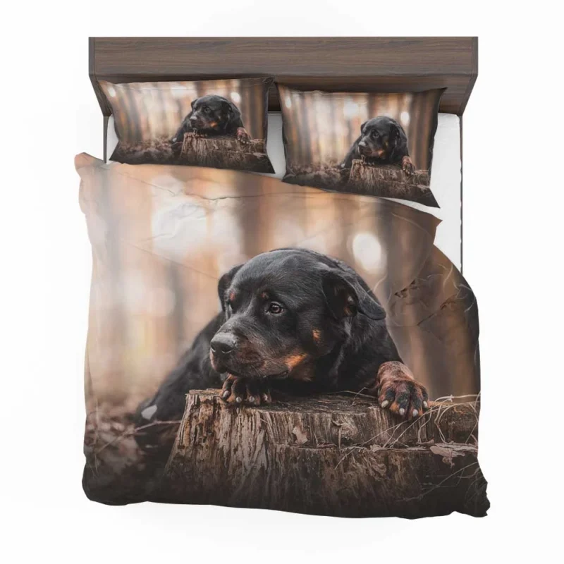 Canine Majesty: Rottweiler Quartet Bedding Set 1