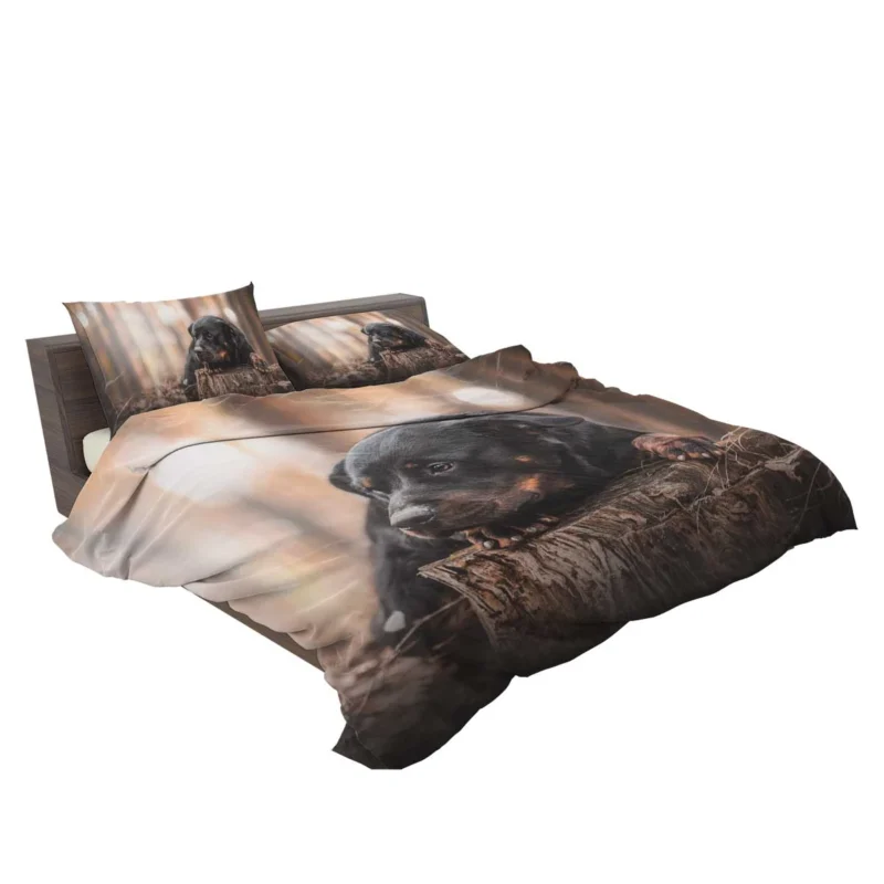 Canine Majesty: Rottweiler Quartet Bedding Set 2