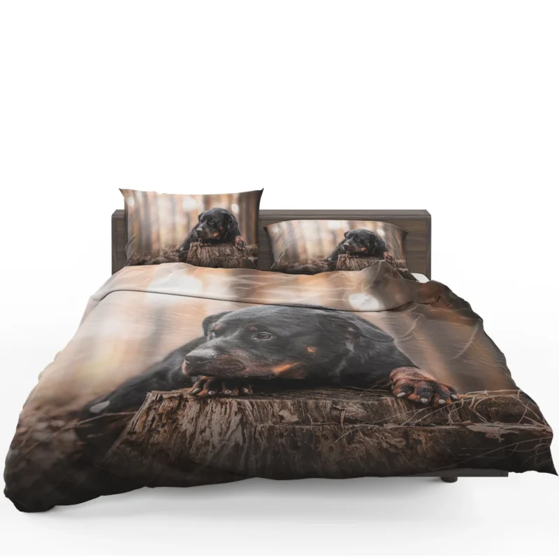 Canine Majesty: Rottweiler Quartet Bedding Set