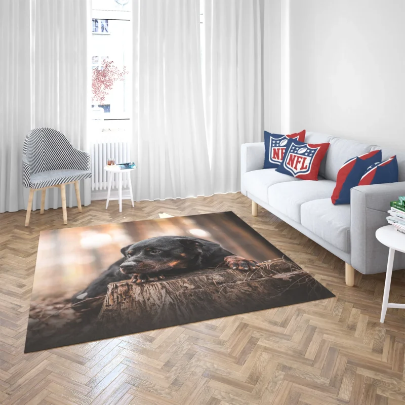 Canine Majesty: Rottweiler Quartet Floor Rug 2