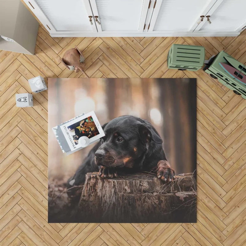 Canine Majesty: Rottweiler Quartet Floor Rug