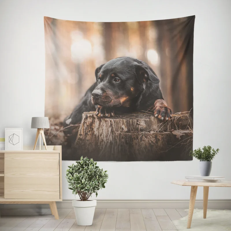 Canine Majesty  Rottweiler Quartet Wall Tapestry