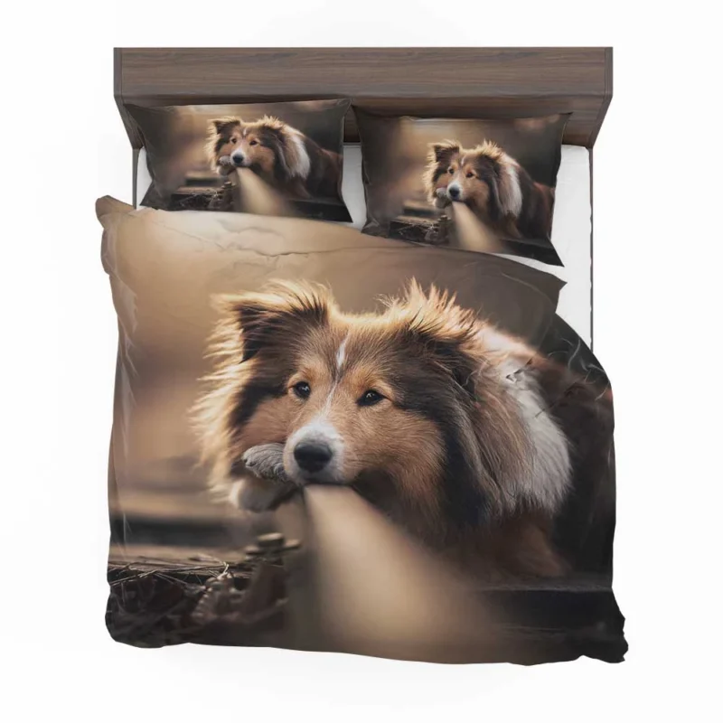 Canine Majesty: Scottish Shepherd Quartet Bedding Set 1