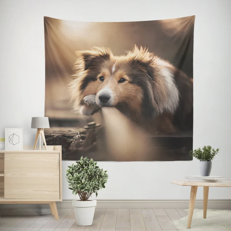 Canine Majesty  Scottish Shepherd Quartet Wall Tapestry