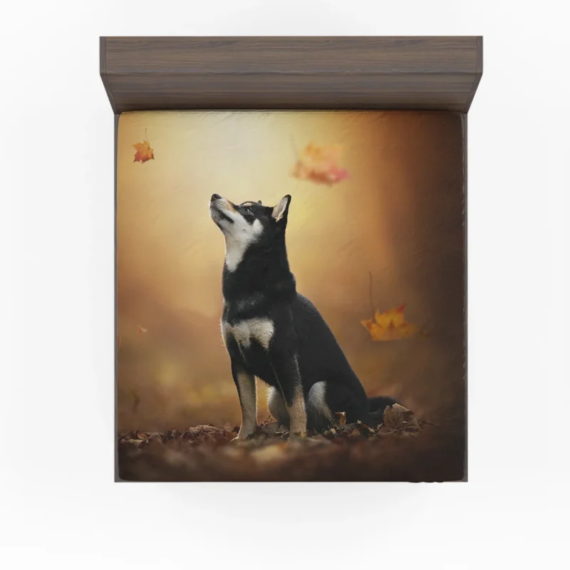 Canine Playtime Quartet: Husky Leaf Blur Fitted Sheet