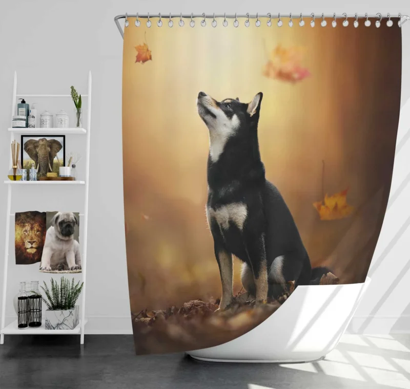 Canine Playtime Quartet: Husky Leaf Blur Shower Curtain