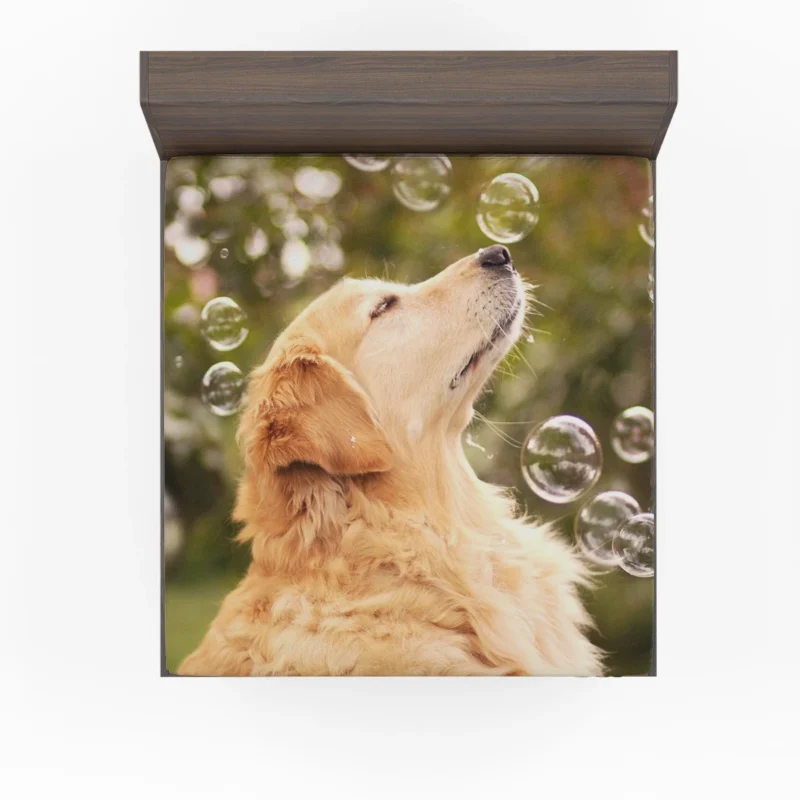 Canine Quartet of Joy: Golden Retrievers Fitted Sheet